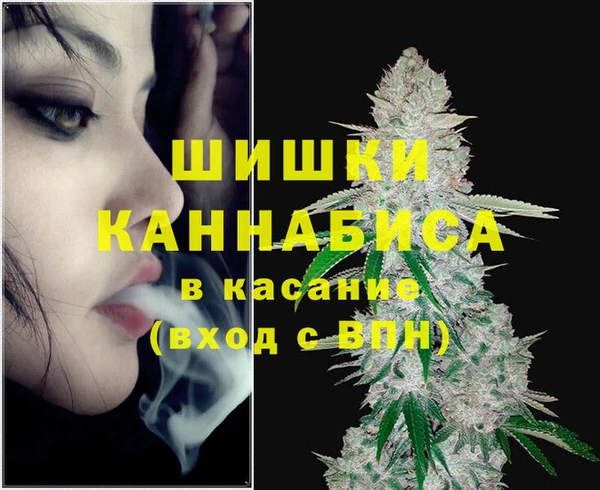 бутират Арсеньев
