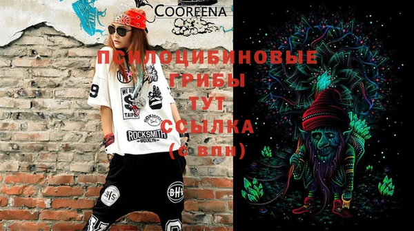 экстази Переславль-Залесский