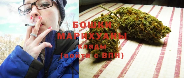 молекула духа Аркадак