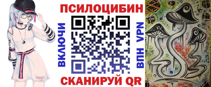 купить   Саяногорск  Псилоцибиновые грибы GOLDEN TEACHER 